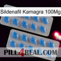 Sildenafil Kamagra 100Mg 23